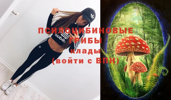 apvp Балабаново