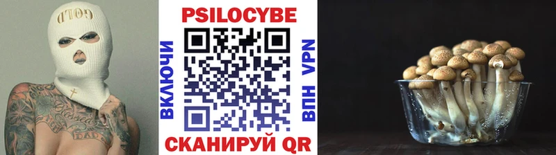 Галлюциногенные грибы прущие грибы  закладка  Няндома 